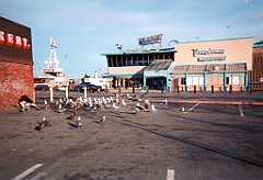 1995 - USA 13 (San Francisco - Fisherman's Wharf)